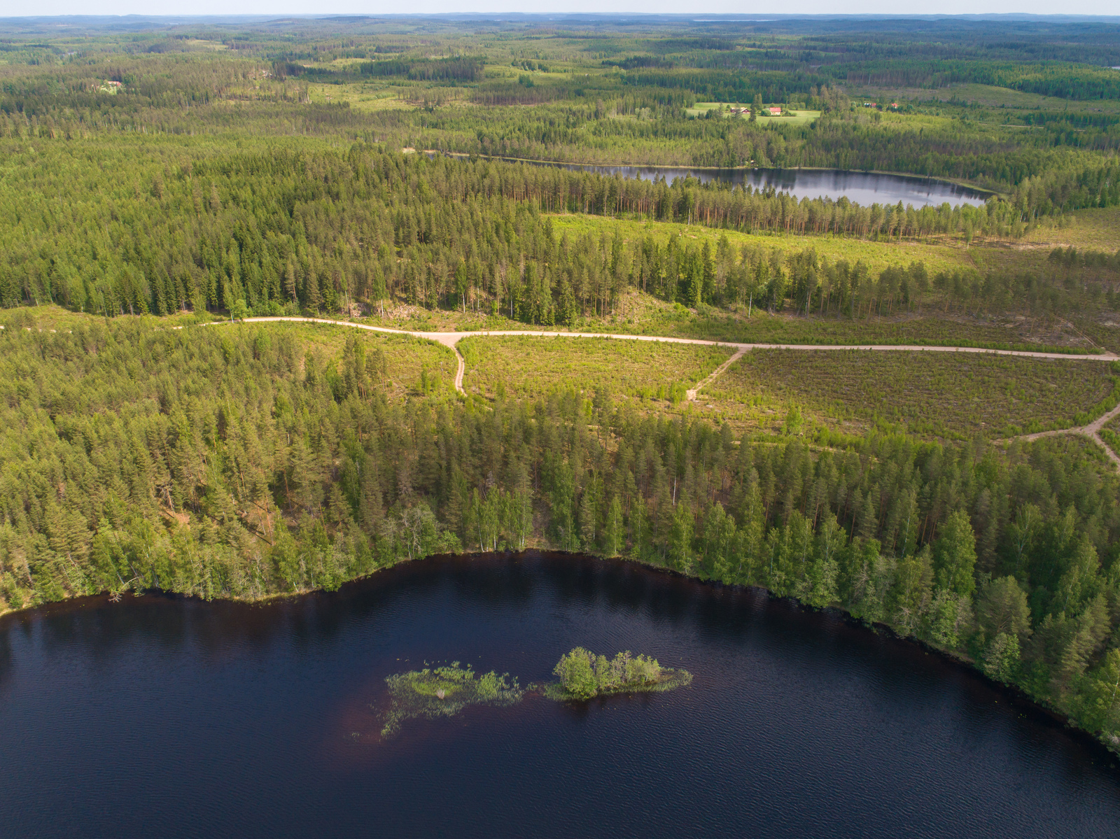 Metsä reunustaa järveä, jossa on saari. Taka-alalla on metsää, hakkuuaukea ja vesistö. Ilmakuva.