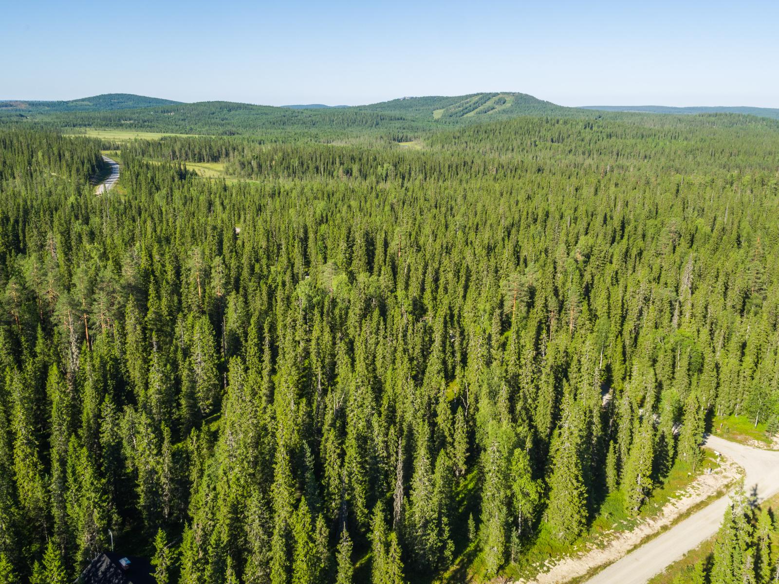 Mökkitie kulkee kesäisessä havumetsässä. Horisontissa kohoaa tunturi ja laskettelurinteet. Ilmakuva.