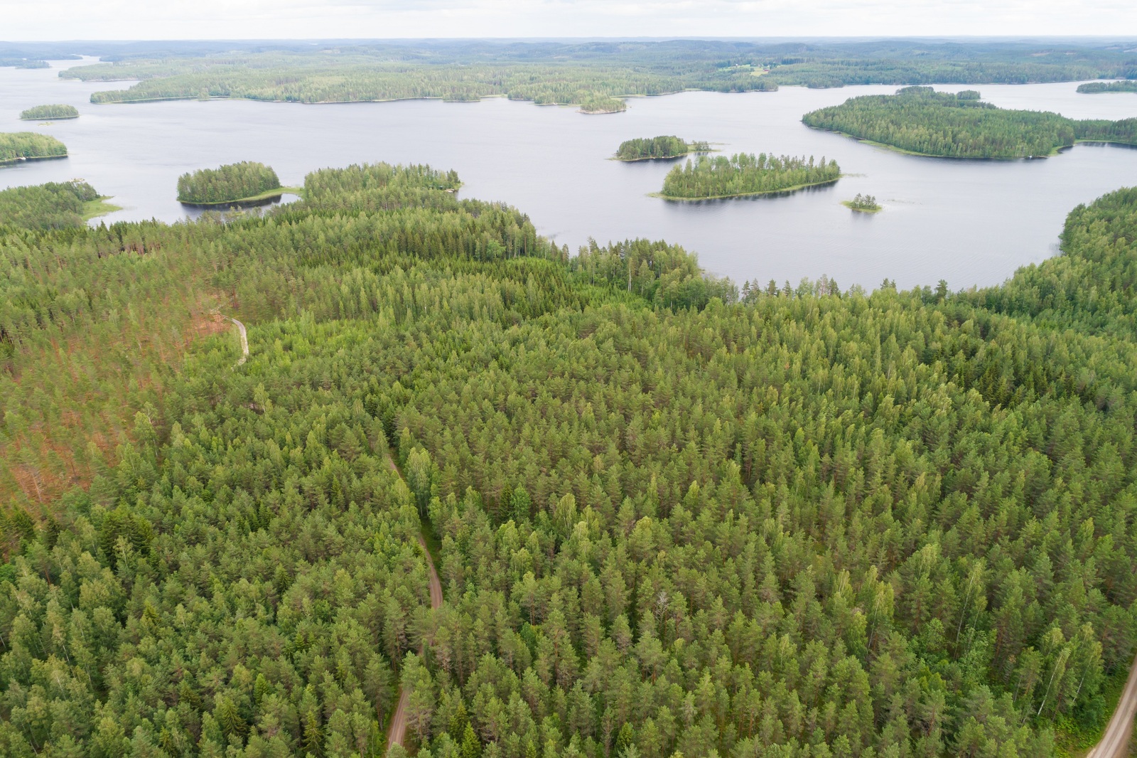 Ilmakuvassa laajalla metsäalueella kulkee tie. Ylälaidassa metsät kohtaavat suuren vesistön.