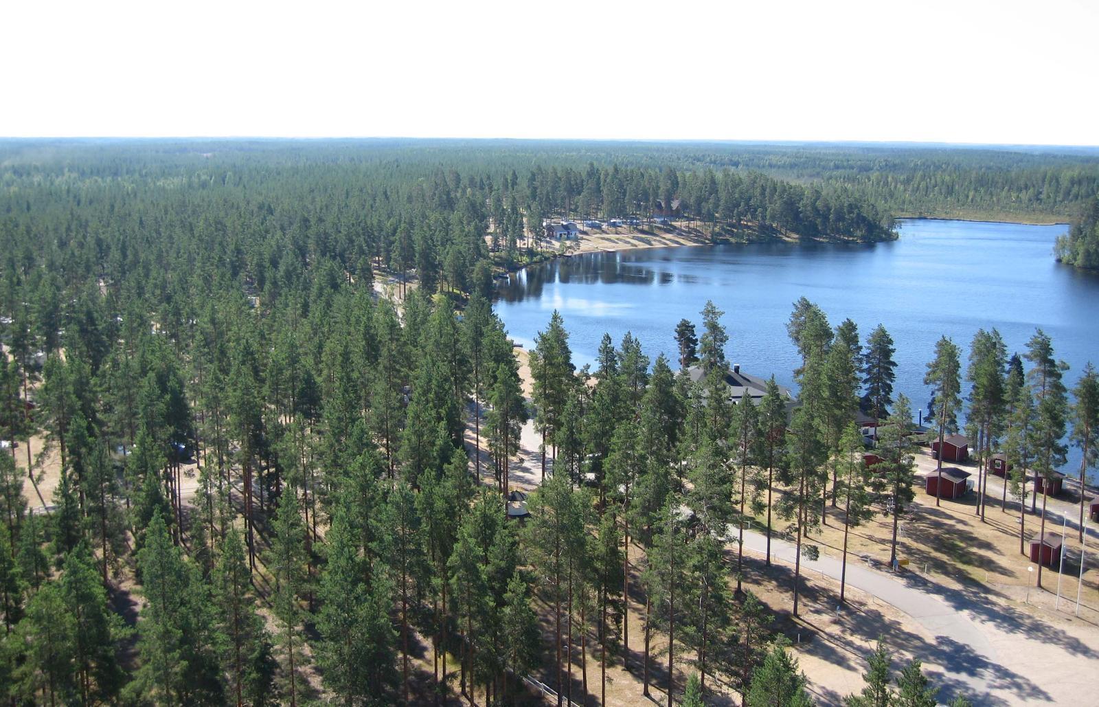 Etualan mäntymetsässä on leirintäalue järven rannalla. Metsä jatkuu horisontissa. Ilmakuva.