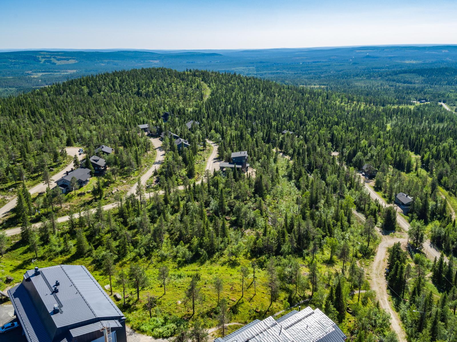 Kumpuilevassa maastossa kulkeva tie vie mökeille kesäisen metsän läpi. Ilmakuva.