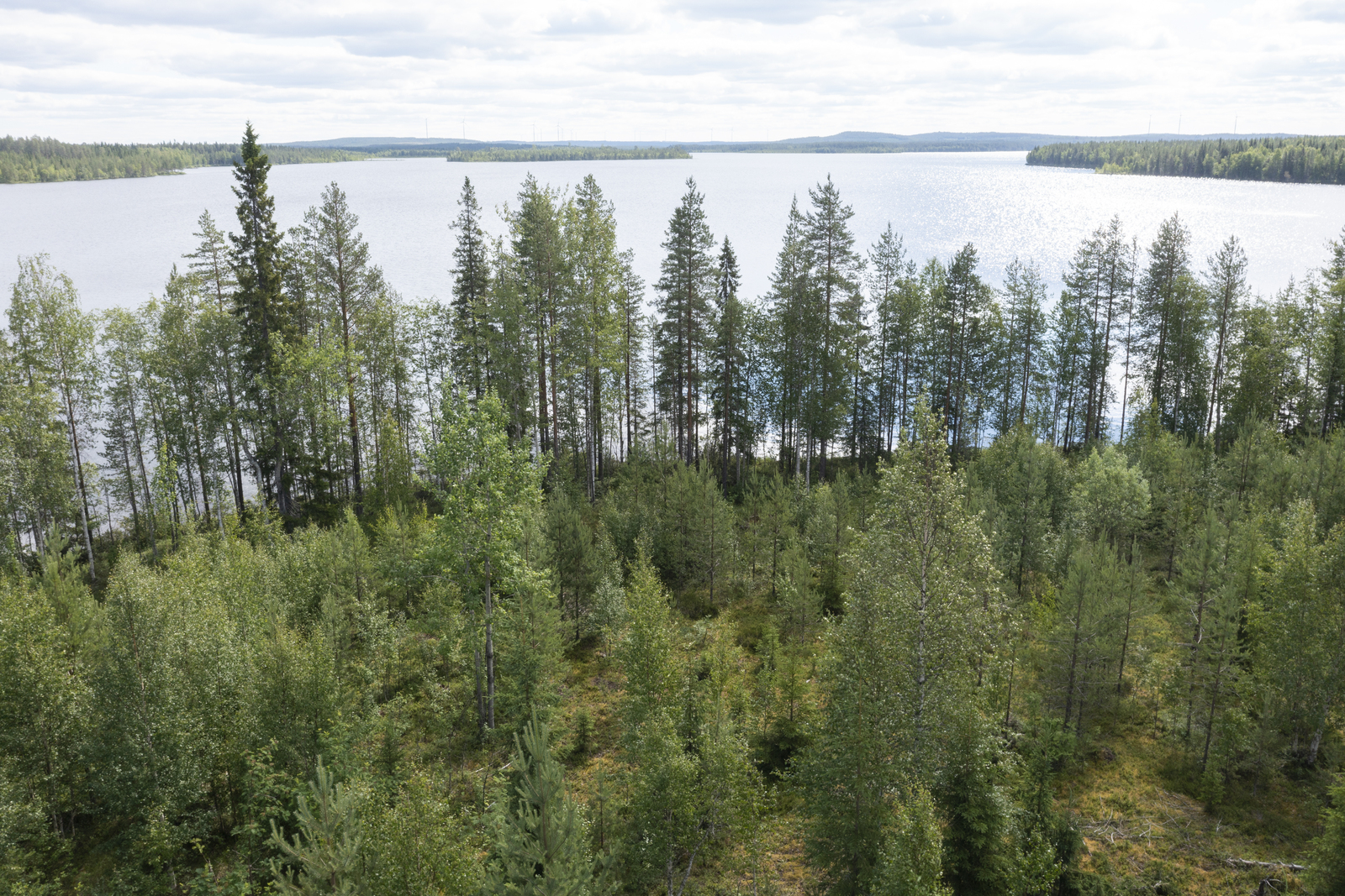 Ilmakuva tontilta järvelle päin