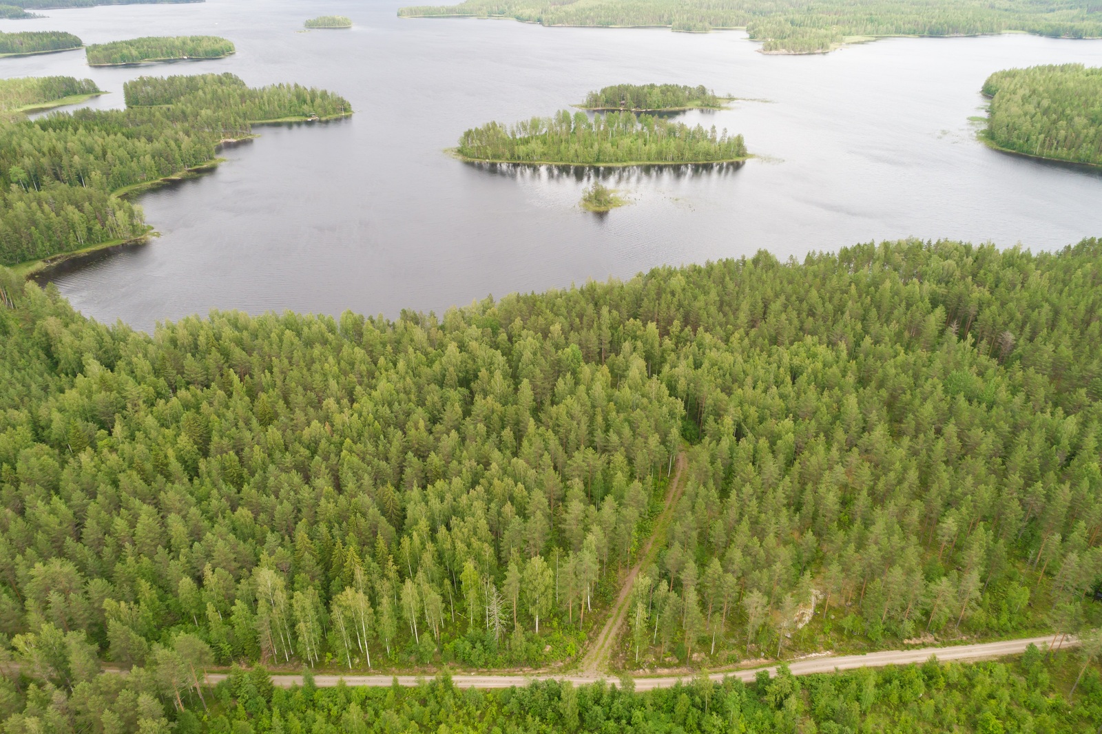 Ilmakuvan alalaidassa tie haarautuu ja kulkee kohti rantaa metsän läpi. Järvessä erikokoisia saaria.