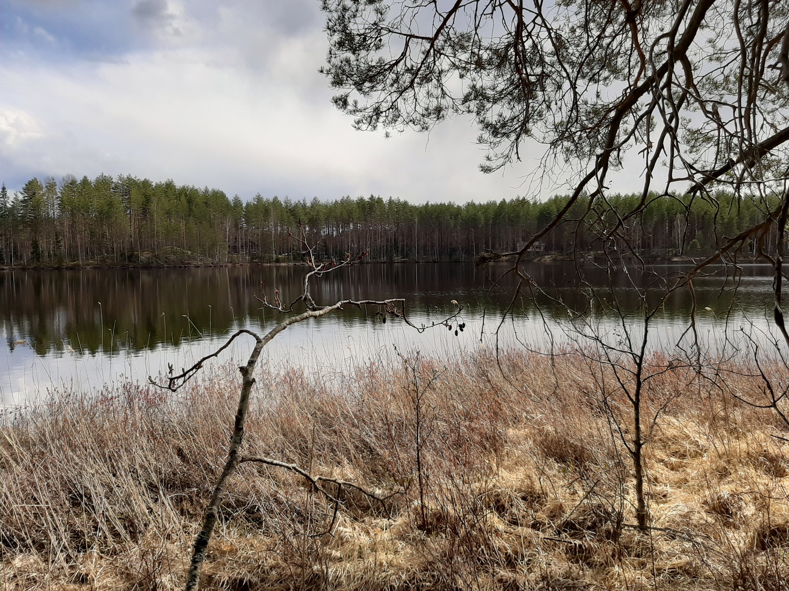 Näkymä rannalta järvelle