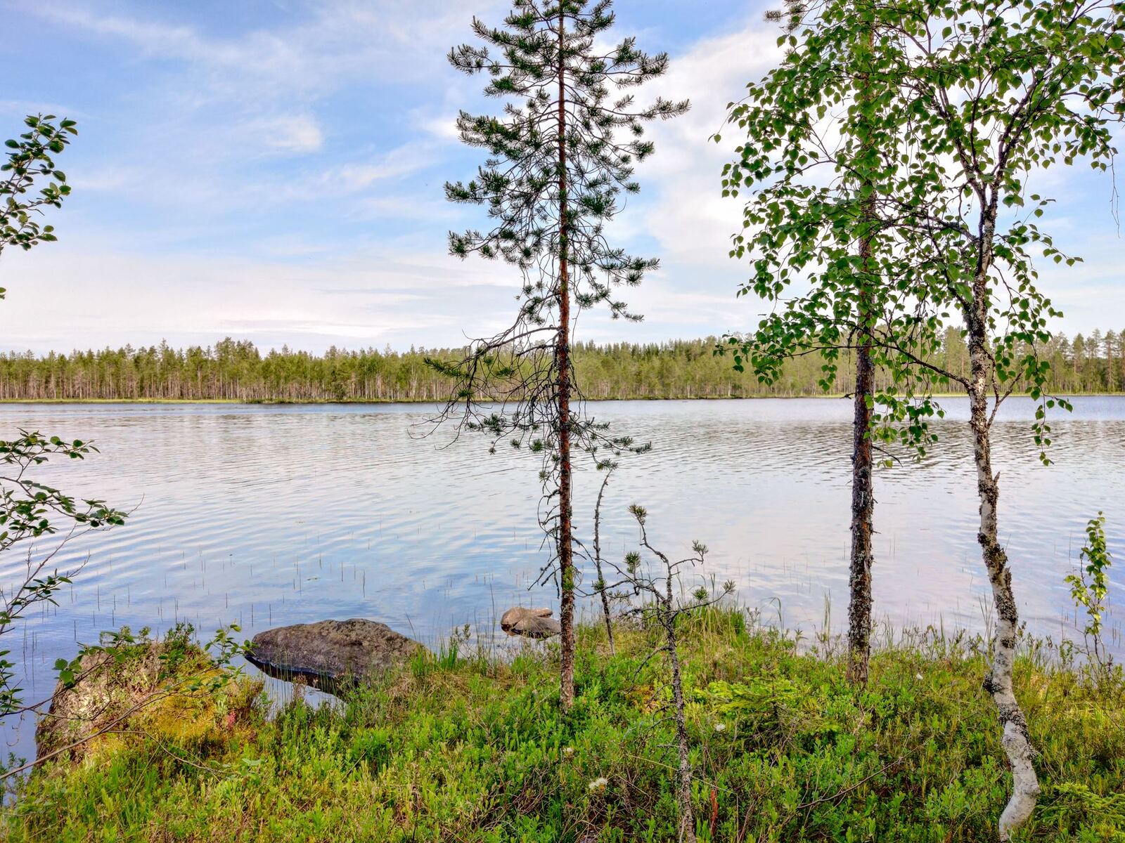 Rantakivet ja rannassa kasvavat puut reunustavat kesäistä järvimaisemaa.