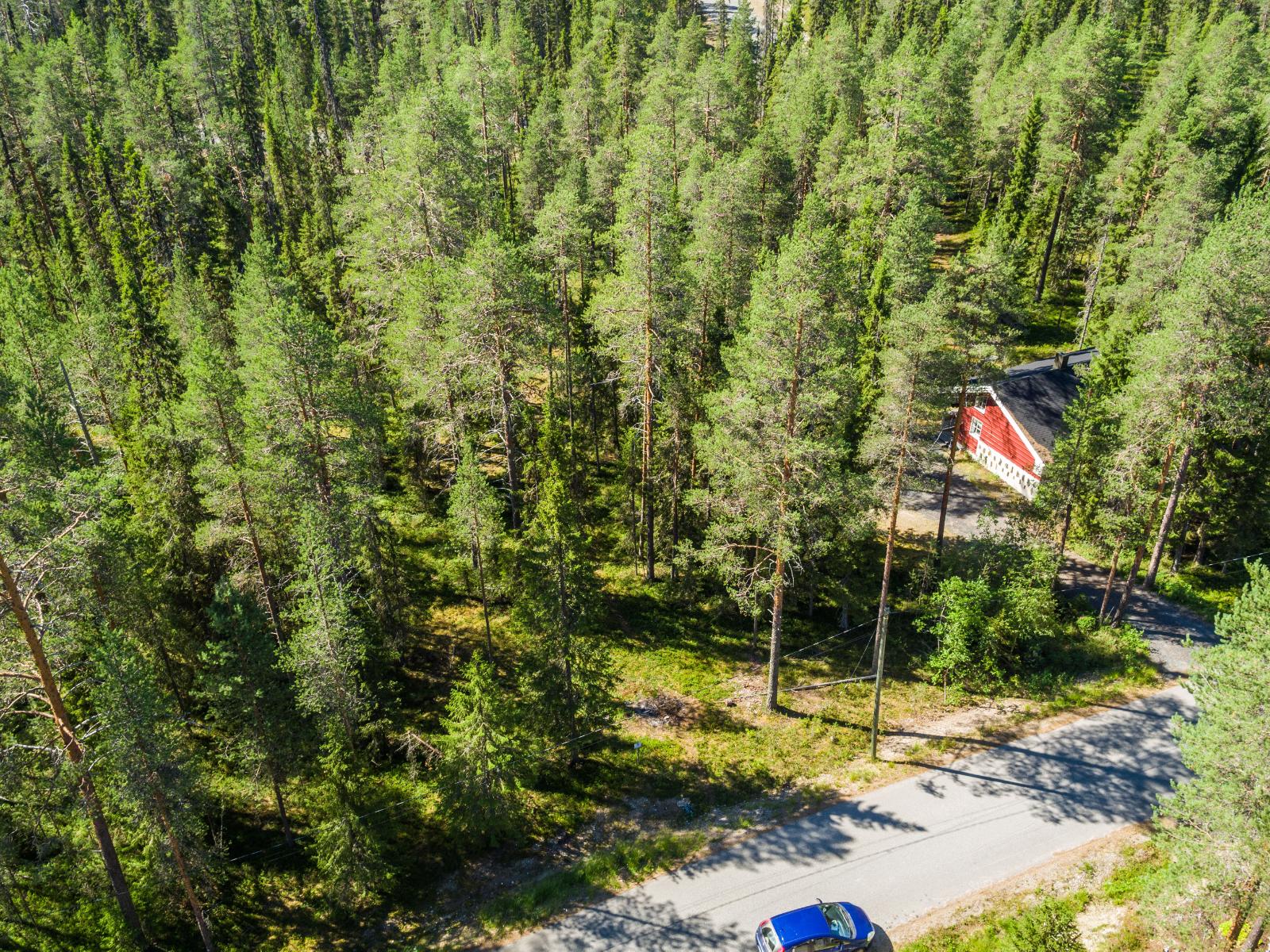 Havumetsässä kulkevan tien varrella on lomamökkejä. Aurinko paistaa metsään. Ilmakuva.