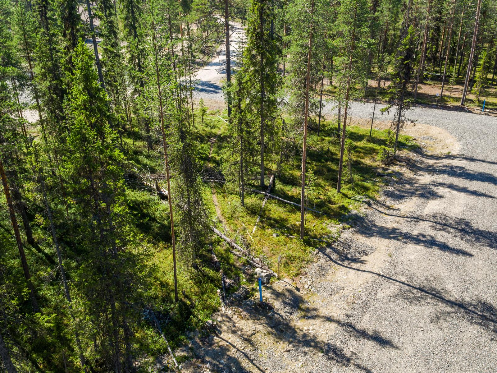 Ilmakuvassa tiet risteävät havumetsässä. Maahan syntyy puiden varjoja kesäisessä auringonpaisteessa.