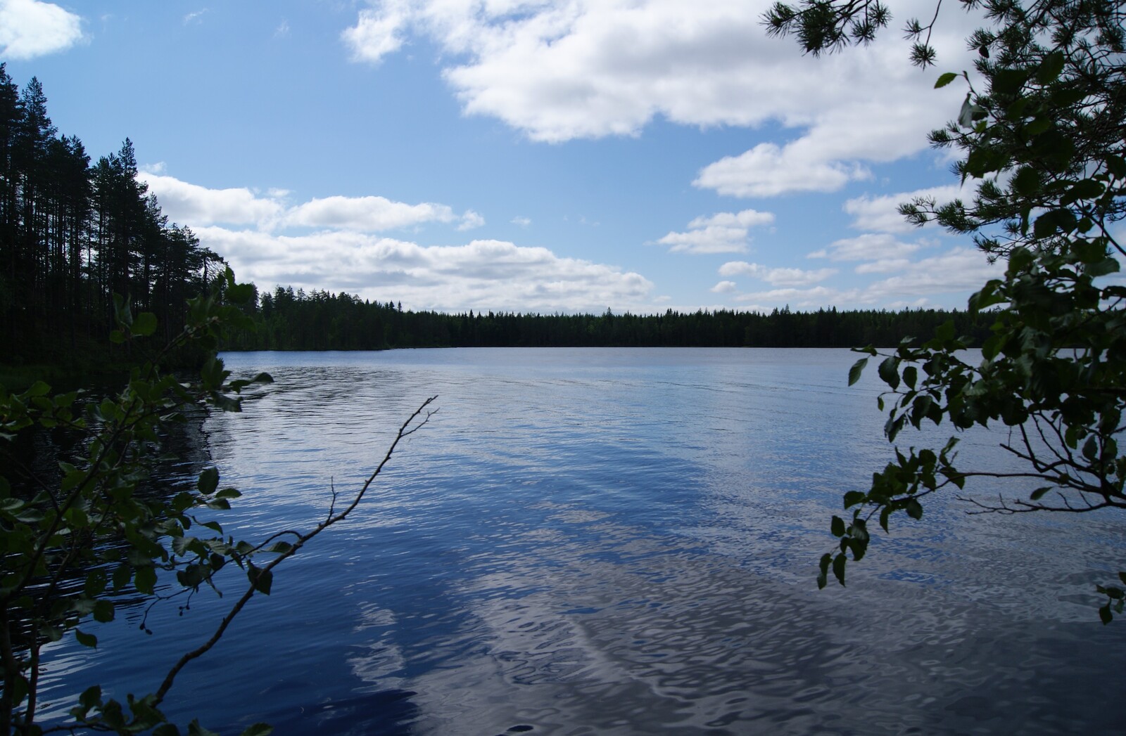 Lehtipuiden oksat reunustavat kesäistä järvimaisemaa. Puolipilvinen taivas heijastuu veteen.