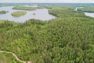 Ilmakuvassa laajat metsäalueet ulottuvat horisonttiin ja niitä reunustaa vesistö.