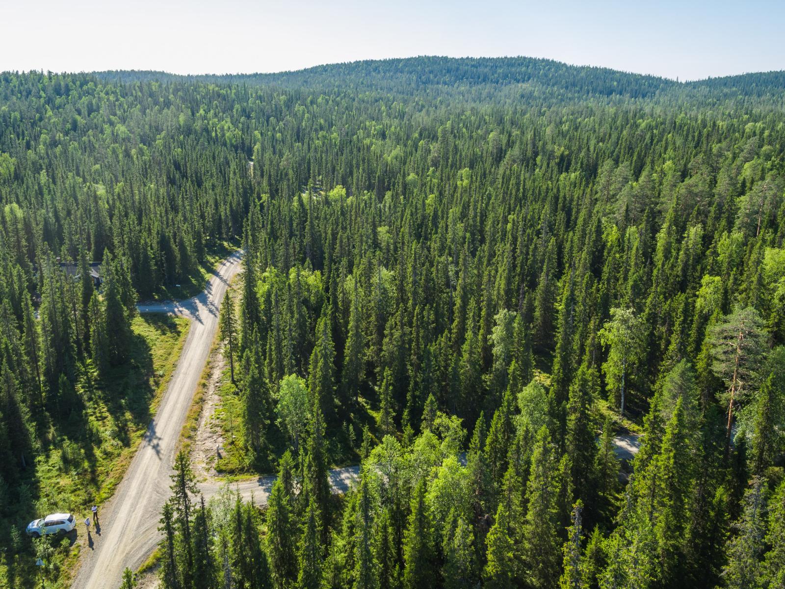 Mökkitie haarautuu kesäisessä havupuuvaltaisessa metsässä. Horisontissa kohoaa vaaroja. Ilmakuva.