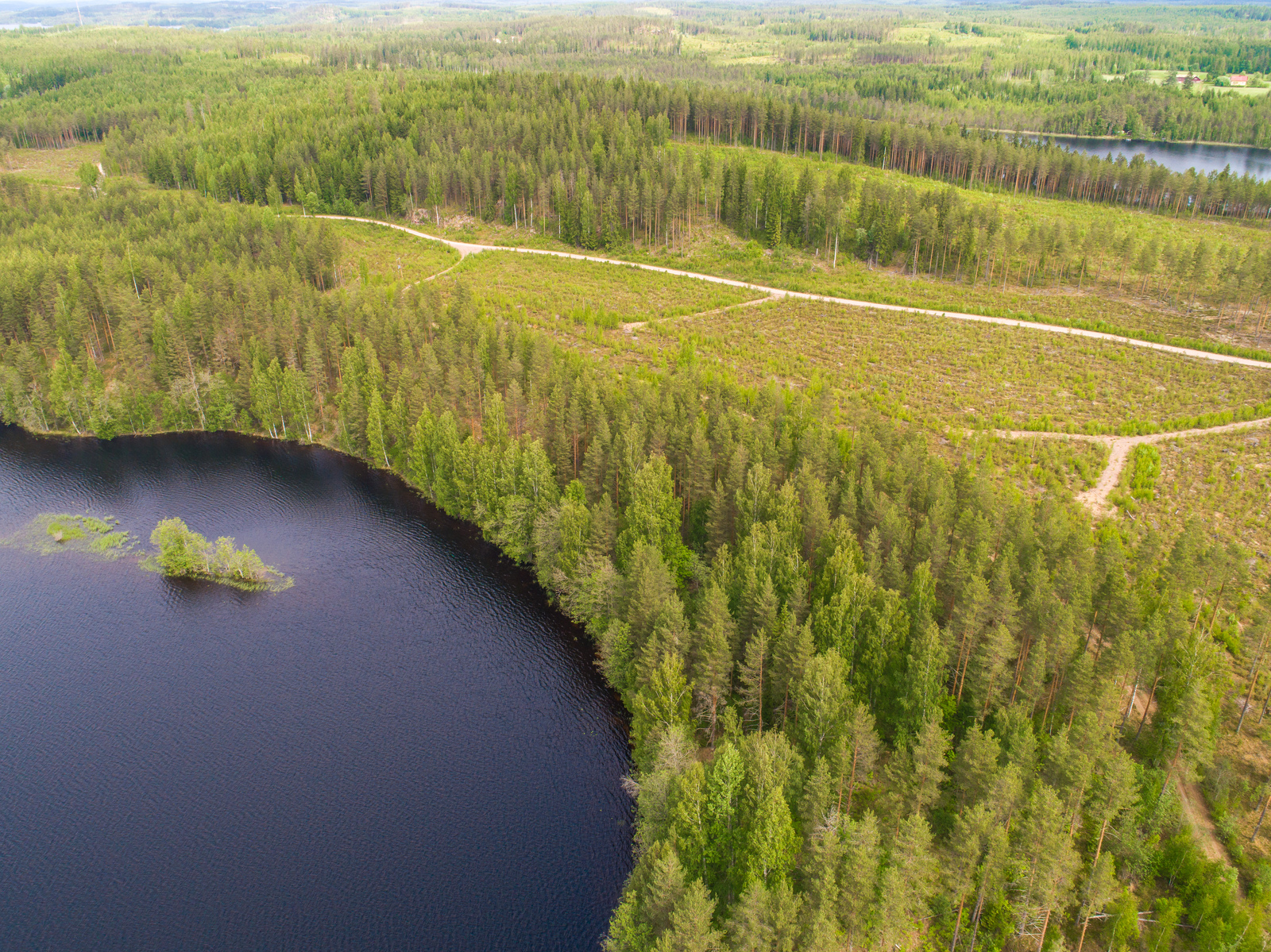 Metsä reunustaa järveä, jossa on saari. Taka-alalla on metsää, hakkuuaukea ja vesistö. Ilmakuva.