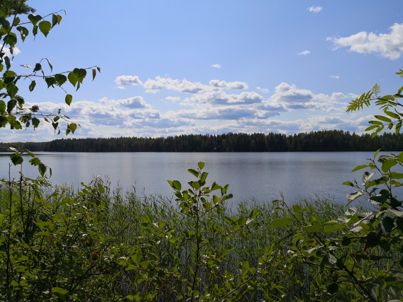 Lehtipuiden oksat reunustavat kesäistä järvimaisemaa. Taivaalla on poutapilviä lähellä horisonttia.