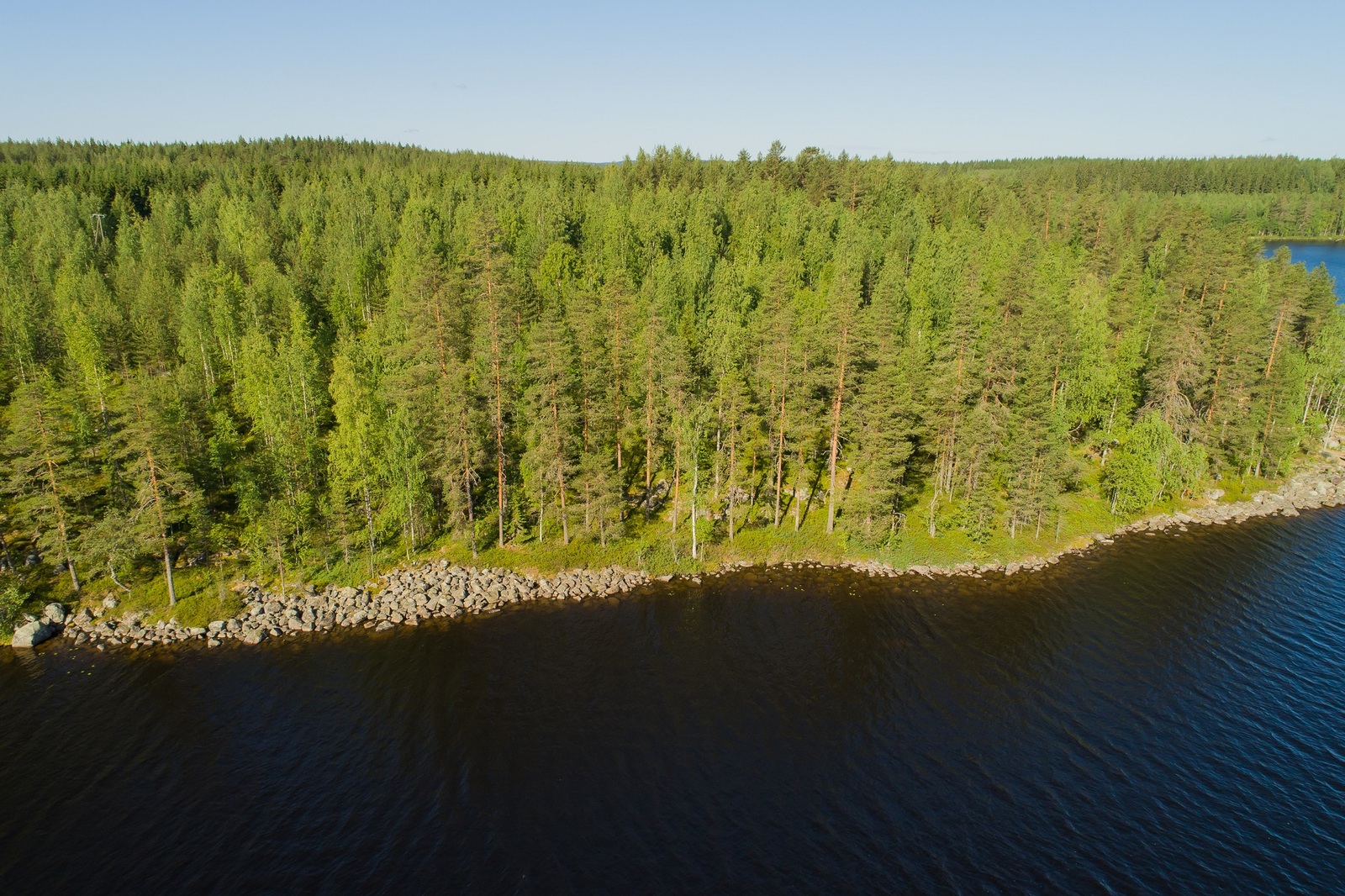 Järvimaisemassa aurinko paistaa kivikkoisesta rantaviivasta alkavaan sekametsään. Ilmakuva.