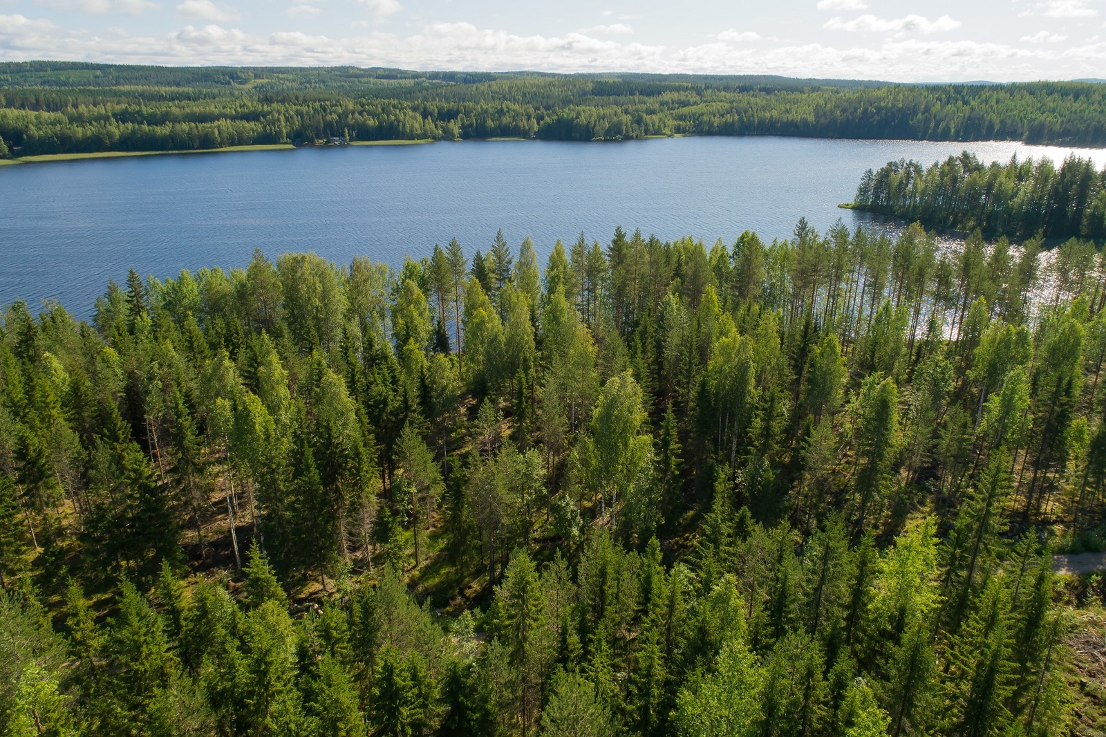 Aurinko paistaa kesäiseen sekametsään, jonka takana siintää järvi. Ilmakuva.