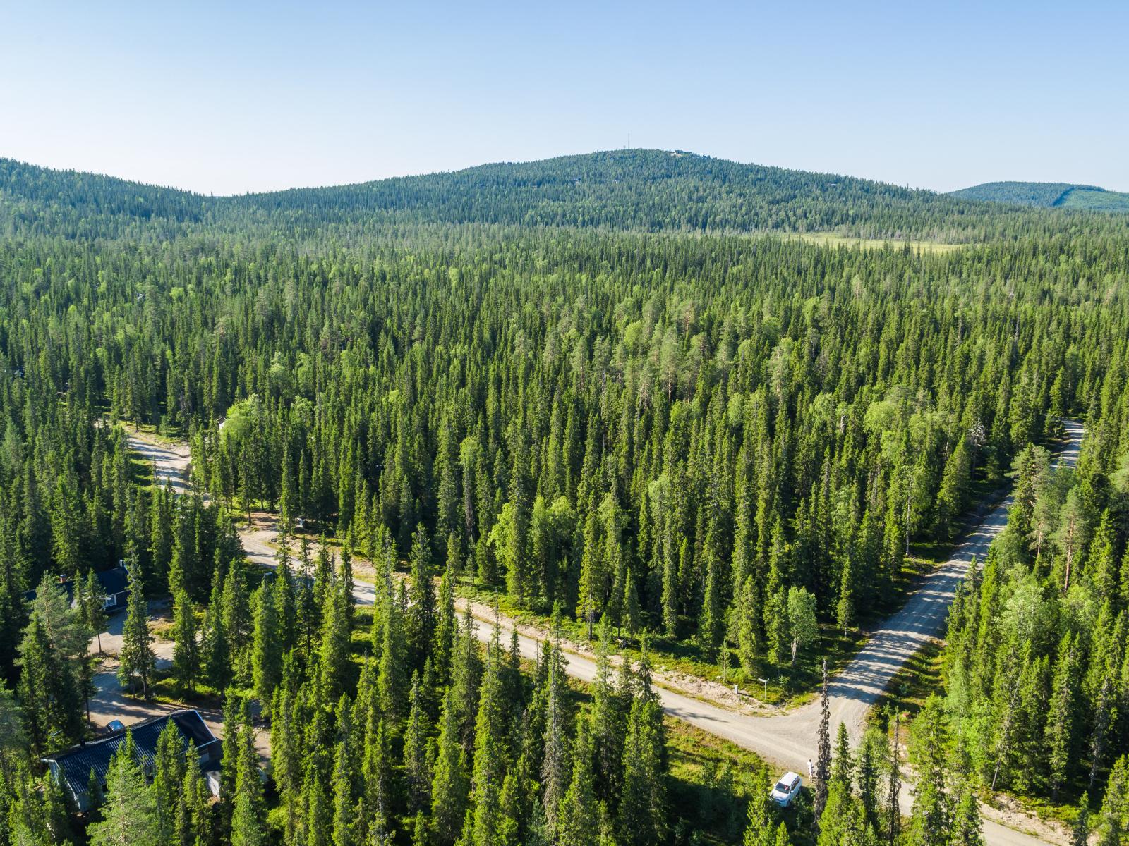 Mökkitie haarautuu kuusivaltaisessa metsässä. Horisontissa kohoaa tunturimaisema. Ilmakuva.