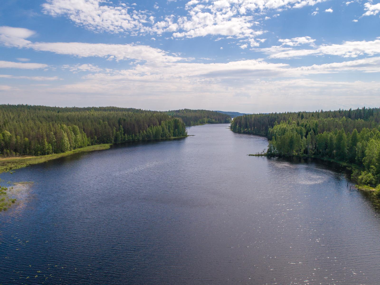 Kesäiset sekametsät ympäröivät horisonttiin jatkuvaa pitkulaista järveä. Ilmakuva.