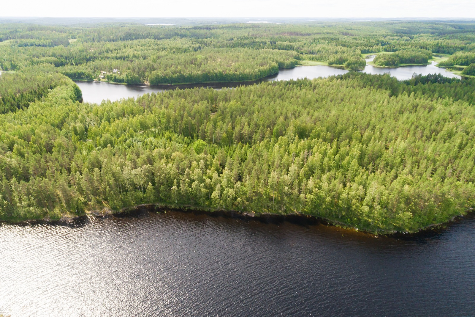 Kesämaisemassa kahden vesialueen välissä on metsäinen kaistale. Ilmakuva.