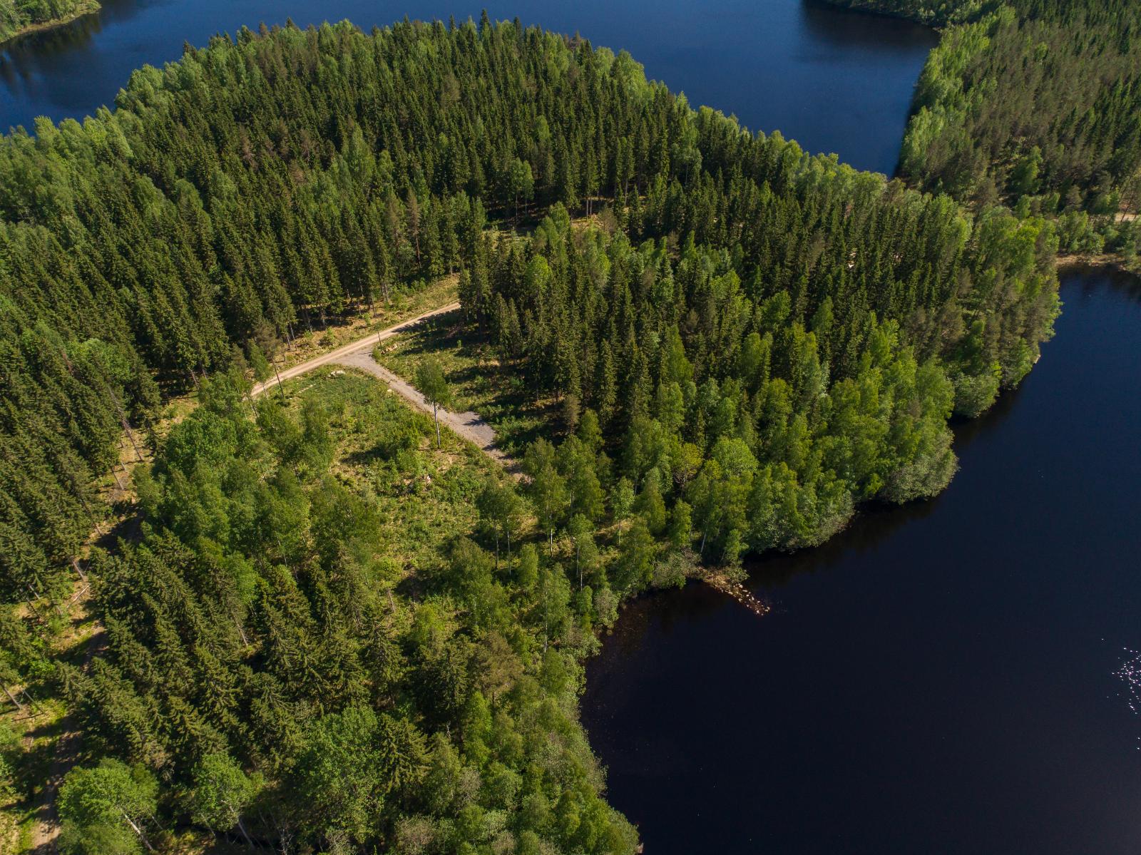 Ilmakuva, jossa järvi ja metsäistä rantaa