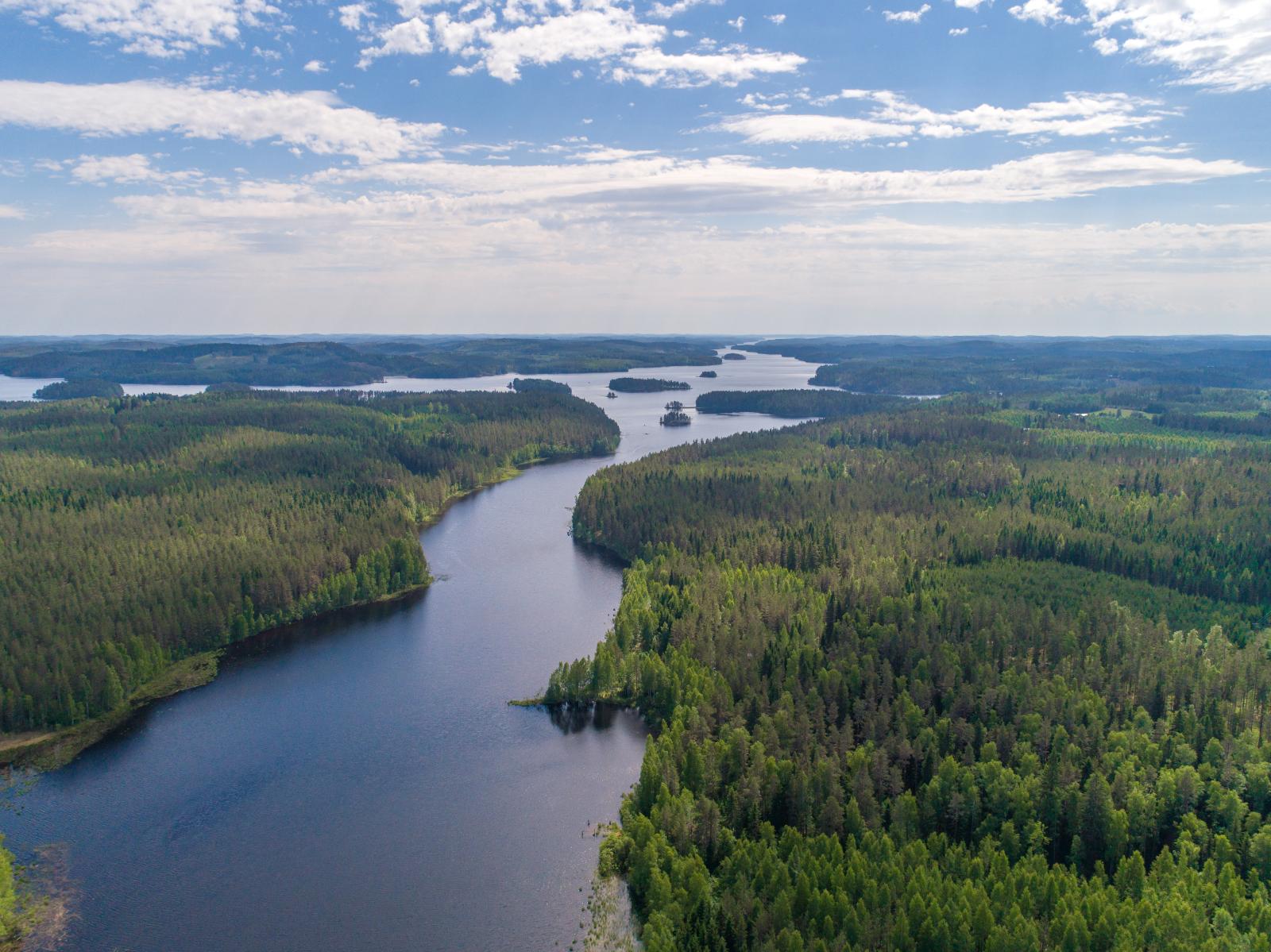 Kesäiset metsät reunustavat horisonttiin jatkuvaa sokkeloista järveä. Ilmakuva.