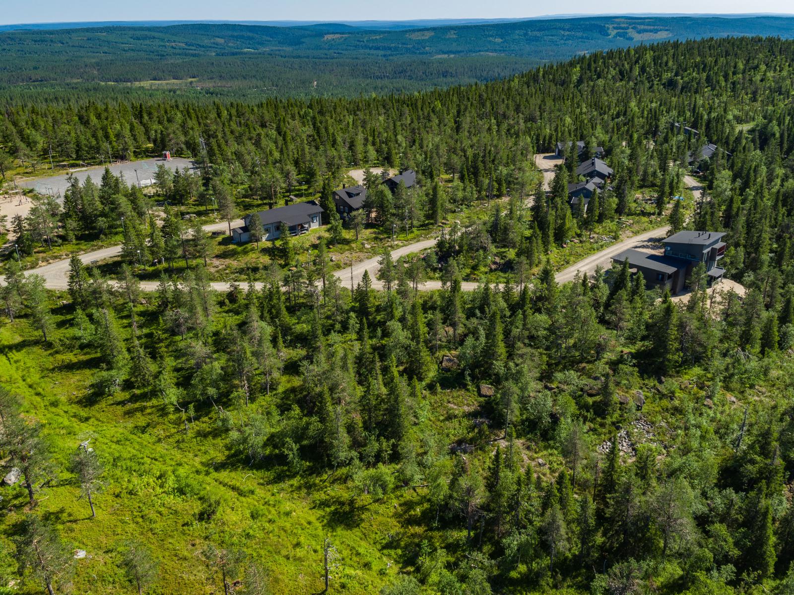 Kumpuilevassa maastossa kulkeva tie vie mökeille kesäisen metsän läpi. Ilmakuva.