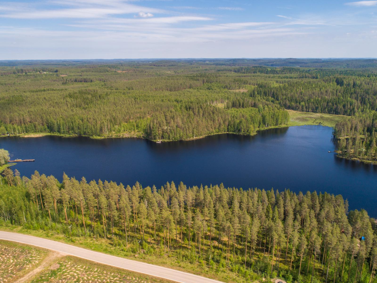 Kesäinen metsä reunustaa pitkulaista järveä molemmin puolin. Etualan metsässä kulkee tie. Ilmakuva.