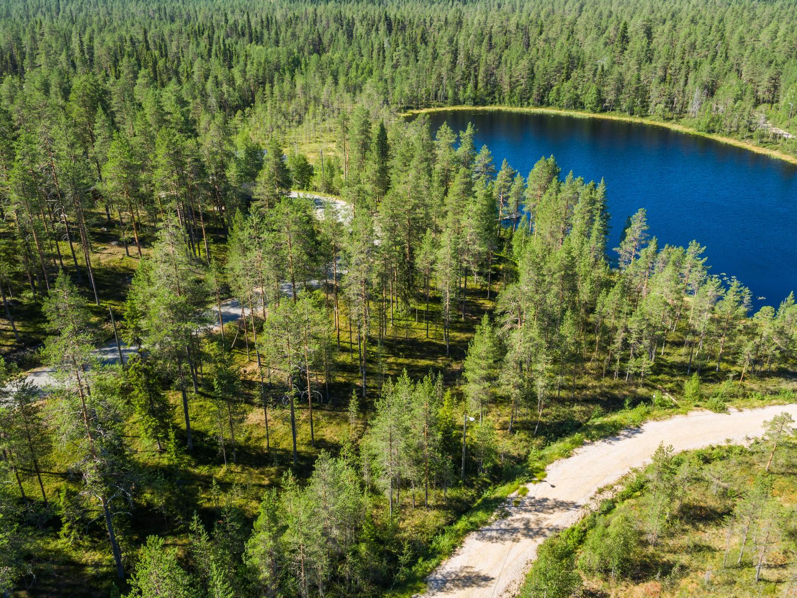 Tie kulkee havumetsässä lammen lähellä. Kesäinen ilmakuva.