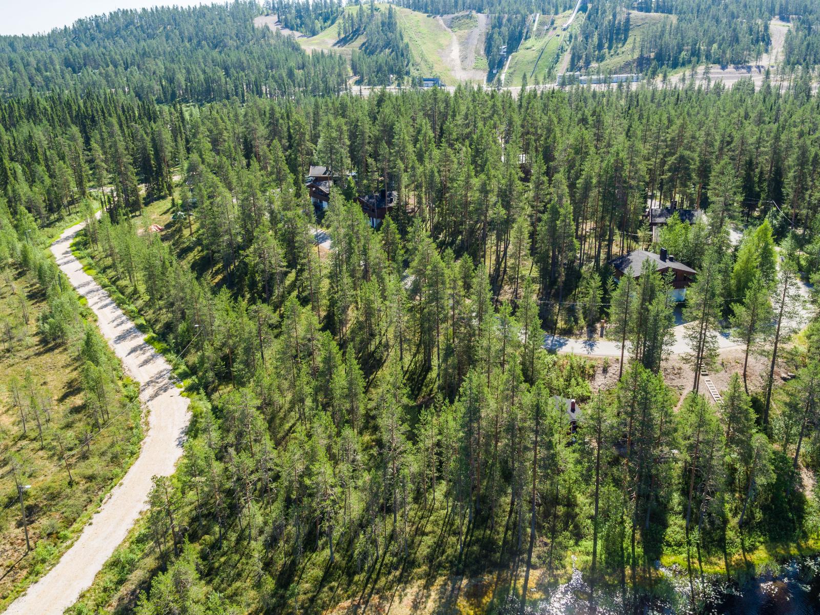 Havumetsässä kulkevan tien varrella on mökkejä. Horisontissa laskettelurinteitä. Kesäinen ilmakuva.