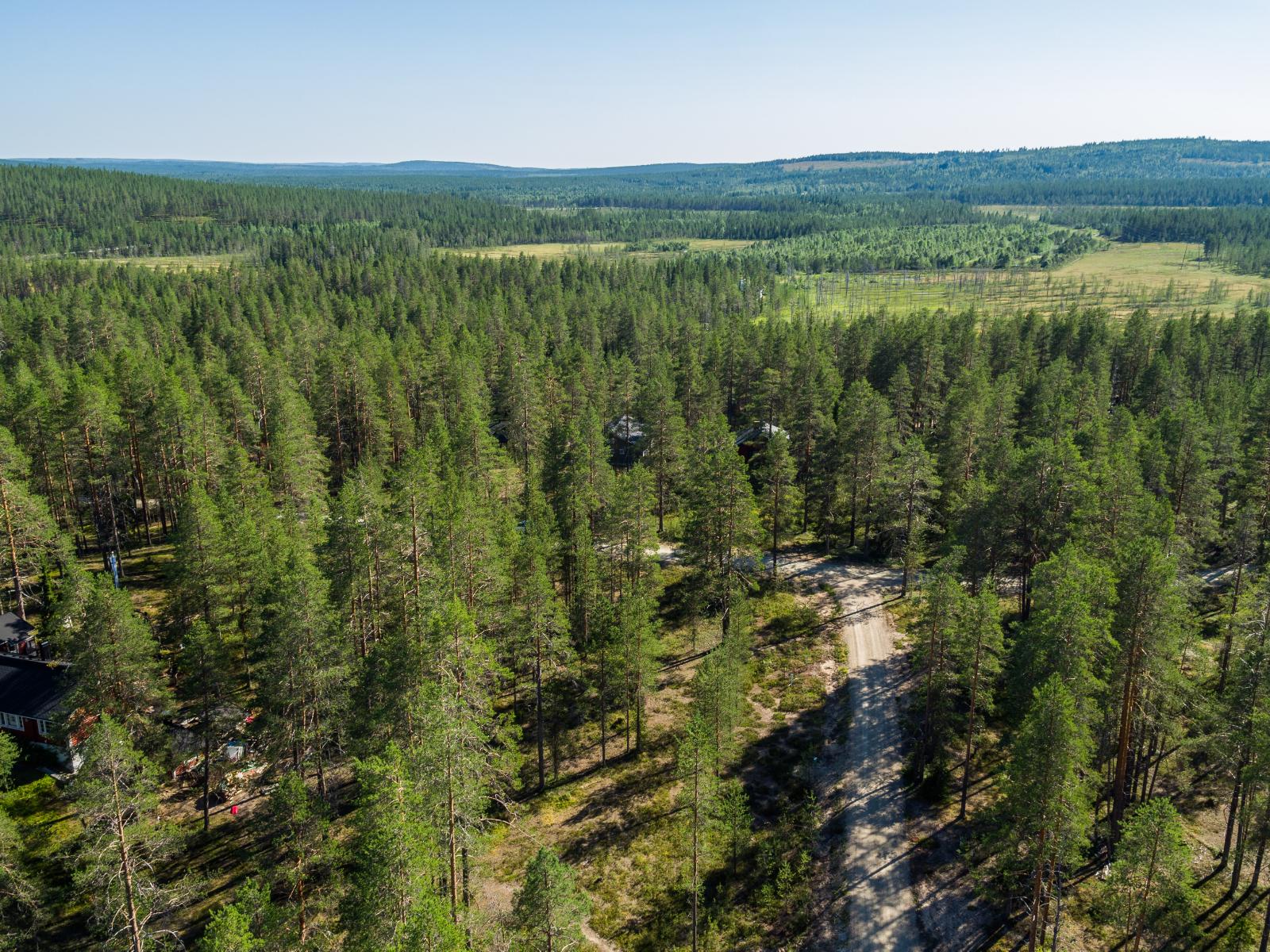 Mökkitie kulkee mäntymetsässä. Taka-alalla on suo ja horisontissa loivia vaaroja. Ilmakuva.