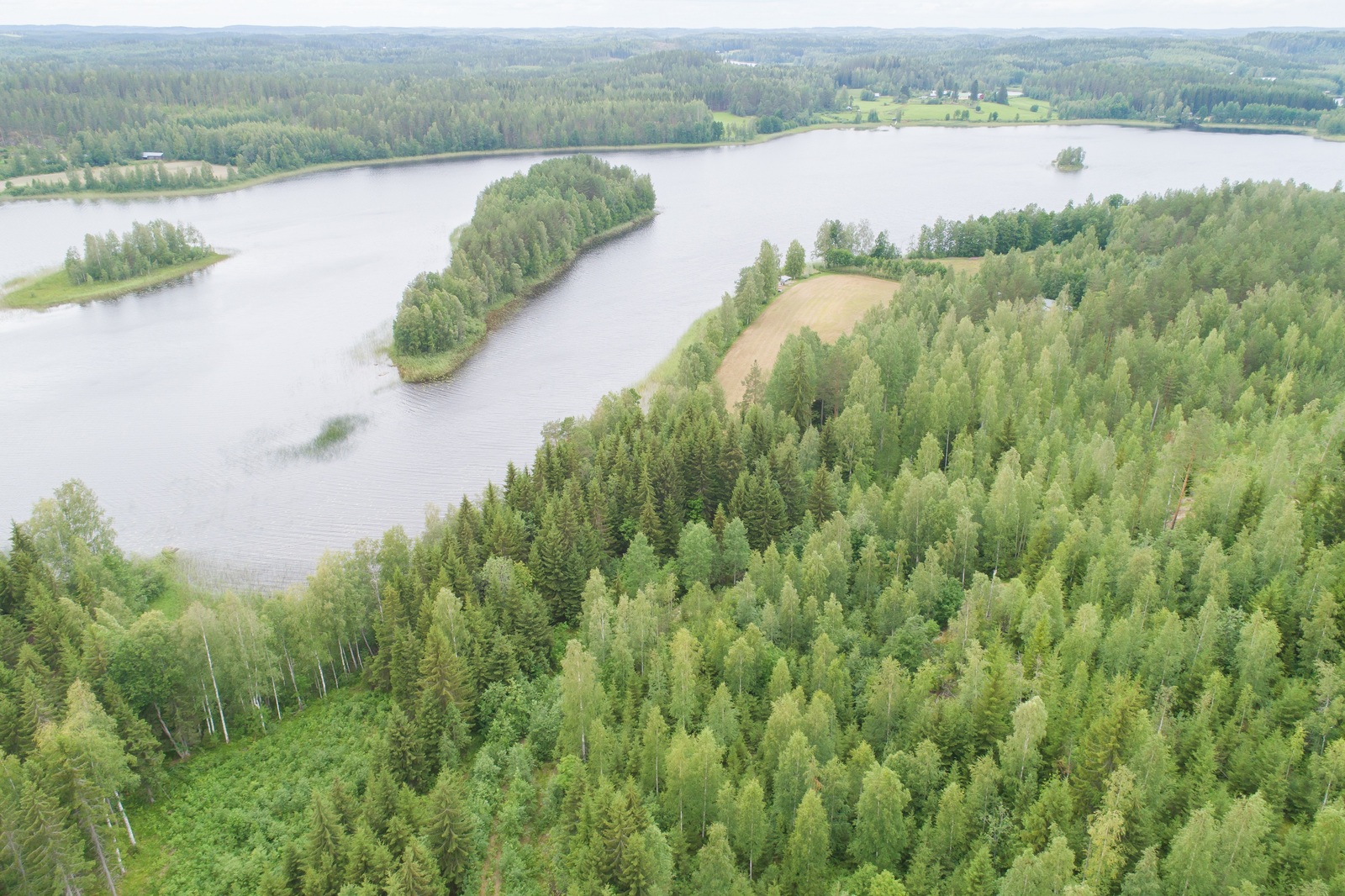 Kesäinen sekametsä reunustaa järveä molemmin puolin. Järvessä on kaksi saarta. Ilmakuva.