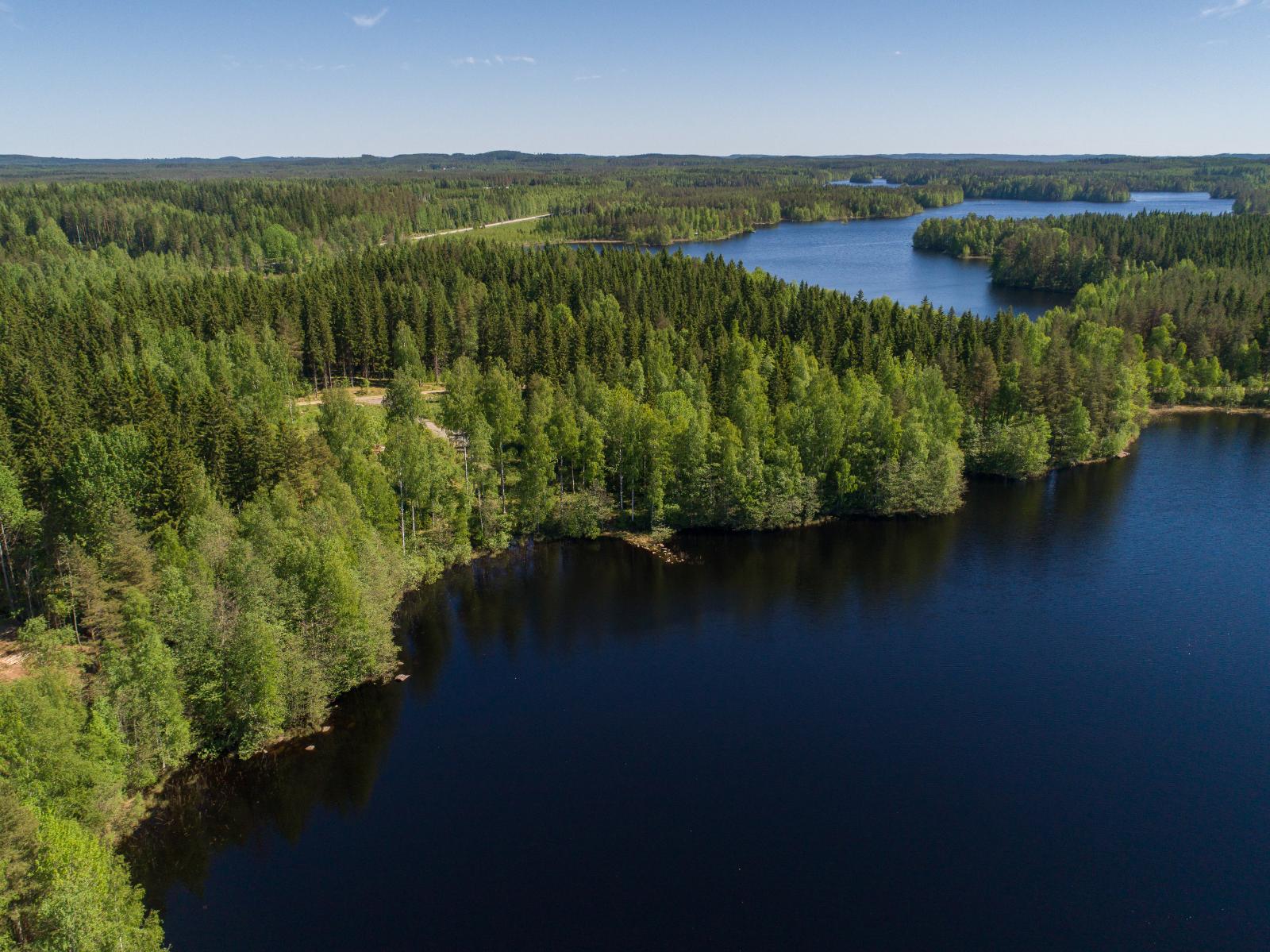 Ilmakuva, jossa järven takana metsäistä rantaa