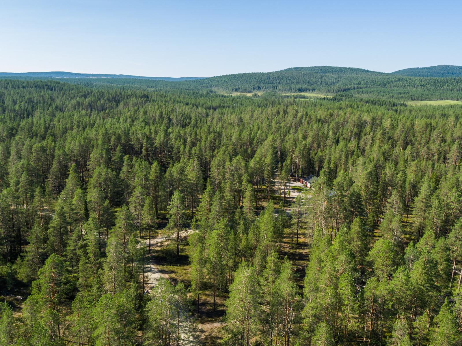 Mökkitie kulkee aurinkoisessa mäntymetsässä. Horisontissa kohoaa vaaramaisema. Ilmakuva.