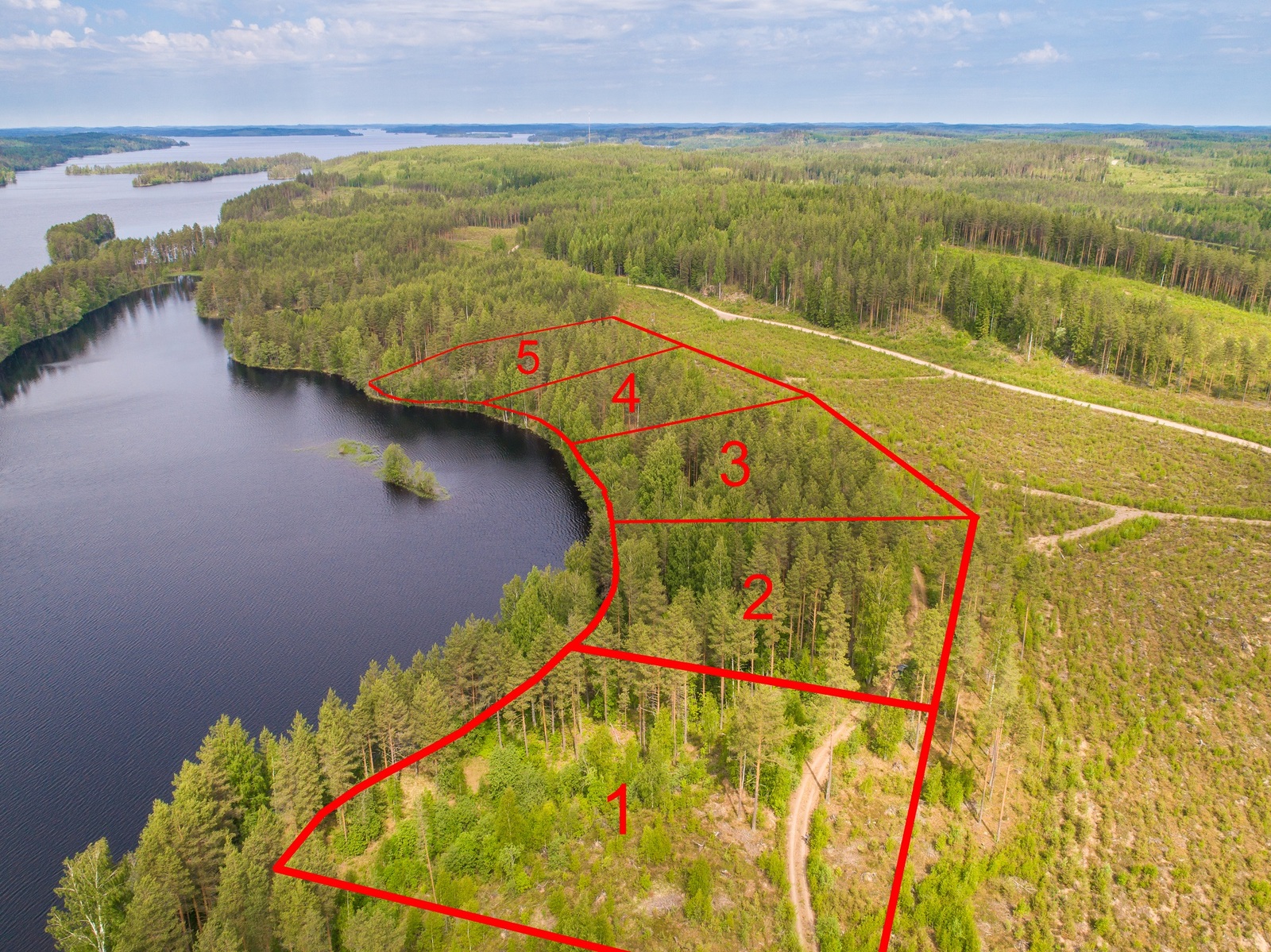 Viiden tontin kaavat piirrettynä metsään järven rannalle. Tie kulkee tonteille. Ilmakuva.