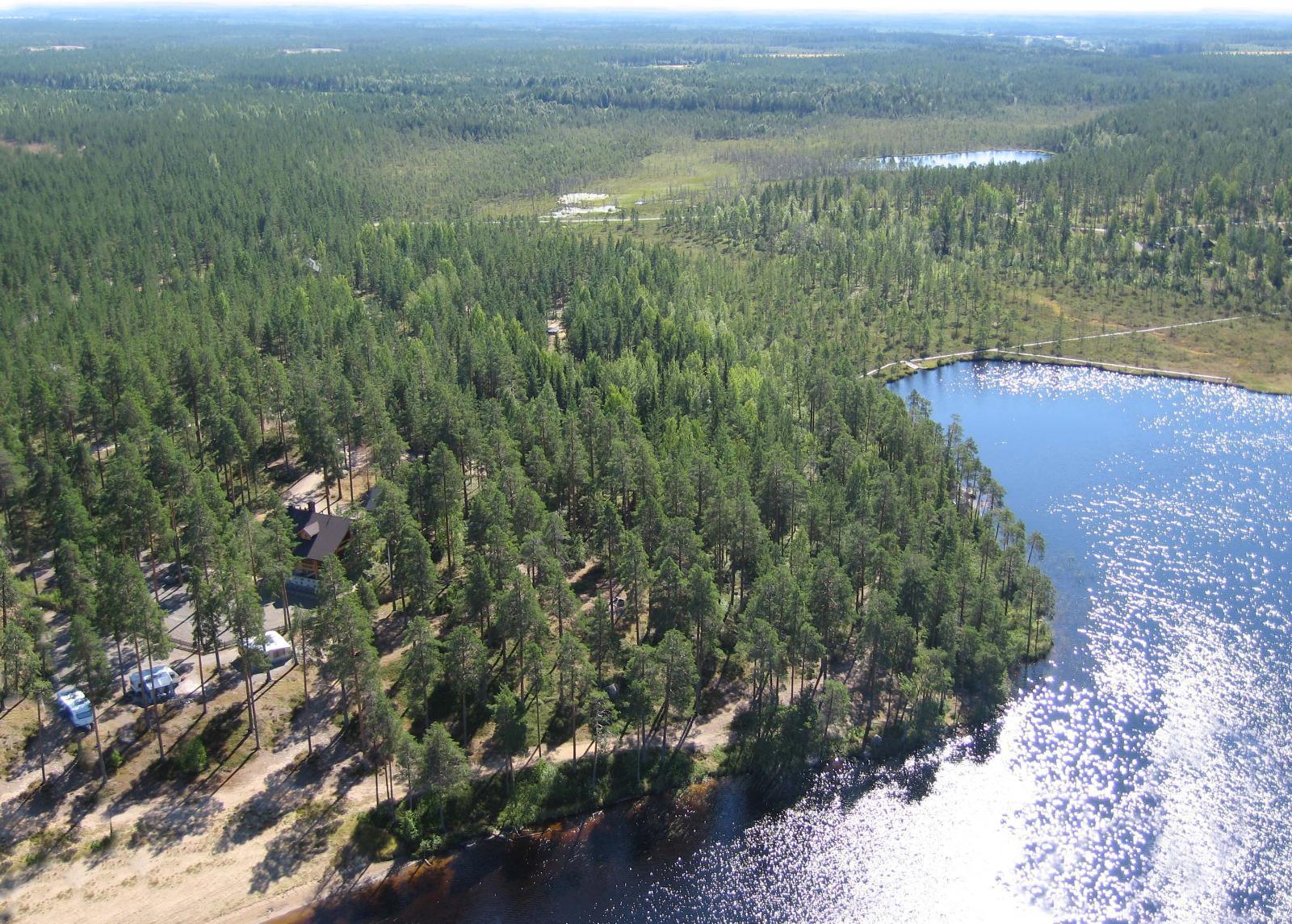 Etualan mäntymetsässä on leirintäalue järven rannalla. Horisontissa metsää ja soita. Ilmakuva.