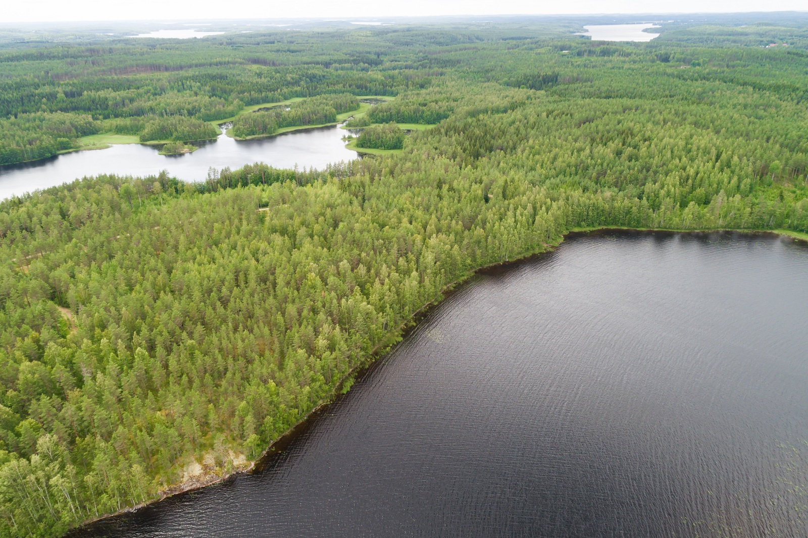 Ilmakuvassa metsäalueet ulottuvat horisonttiin asti ja niiden molemmilla puolilla on vesistöä.