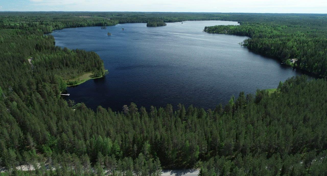 Kesämaisemassa järvi levittäytyy eri suuntiin metsien ympäröimänä. Ilmakuva.