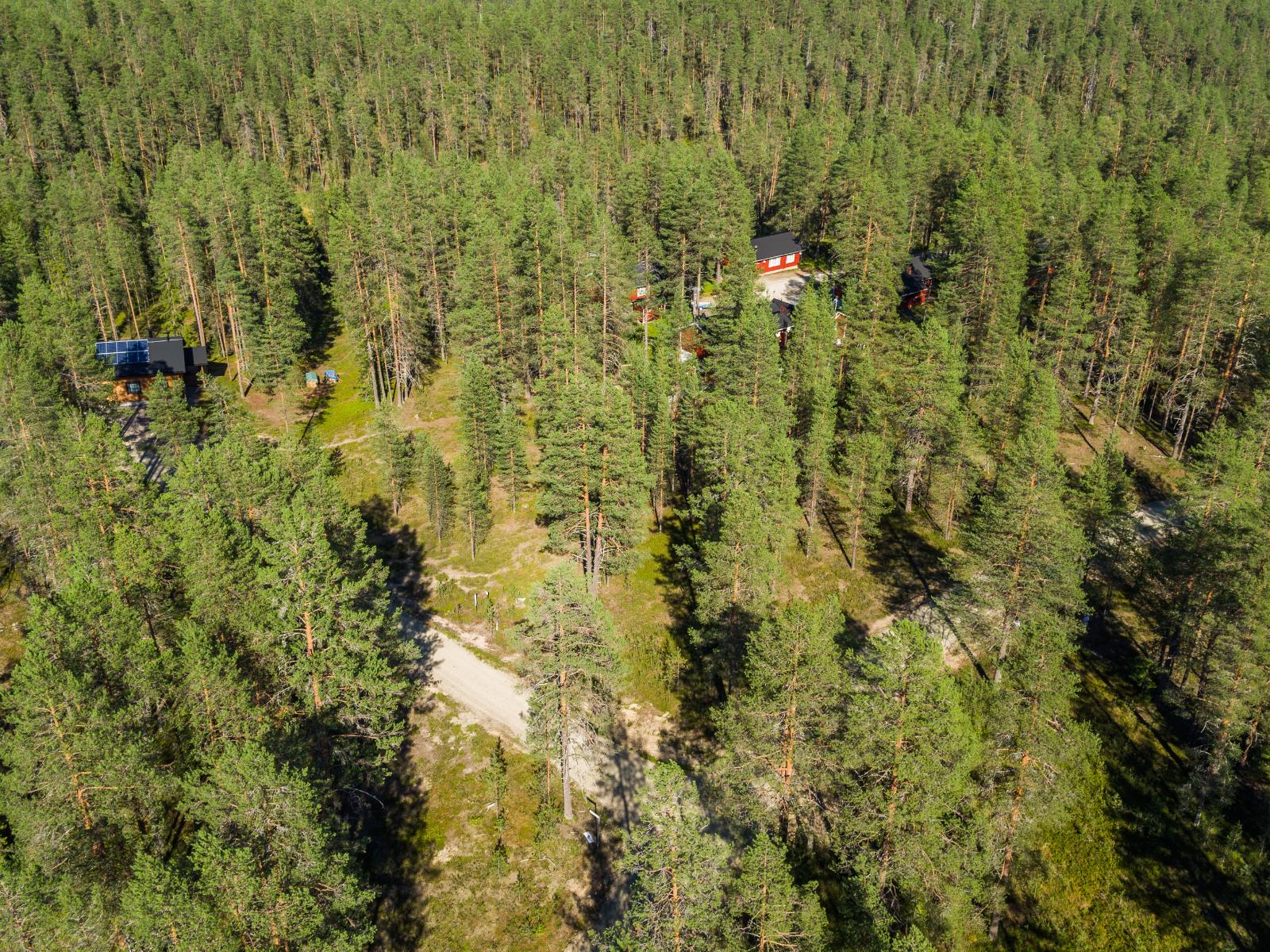 Mökkitie kulkee avarassa mäntymetsässä. Yhden mökin katolla on aurinkopaneelit. Ilmakuva.