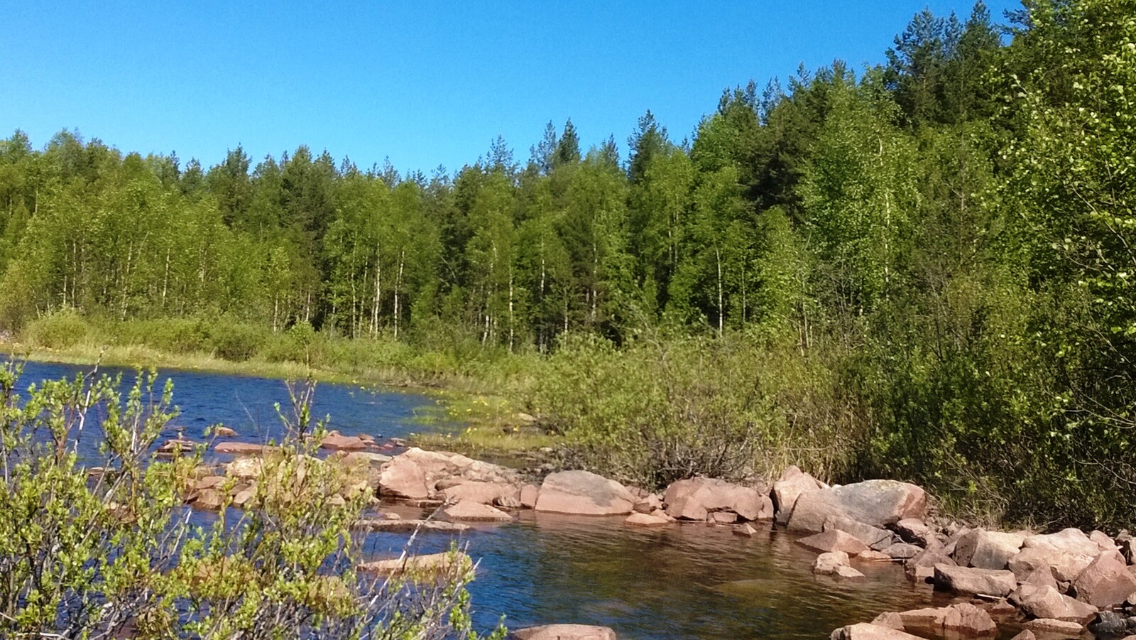 Kesämaisemassa järven kivisen rantaviivan tuntumassa kasvaa pajuja. Sekametsä reunustaa järveä.