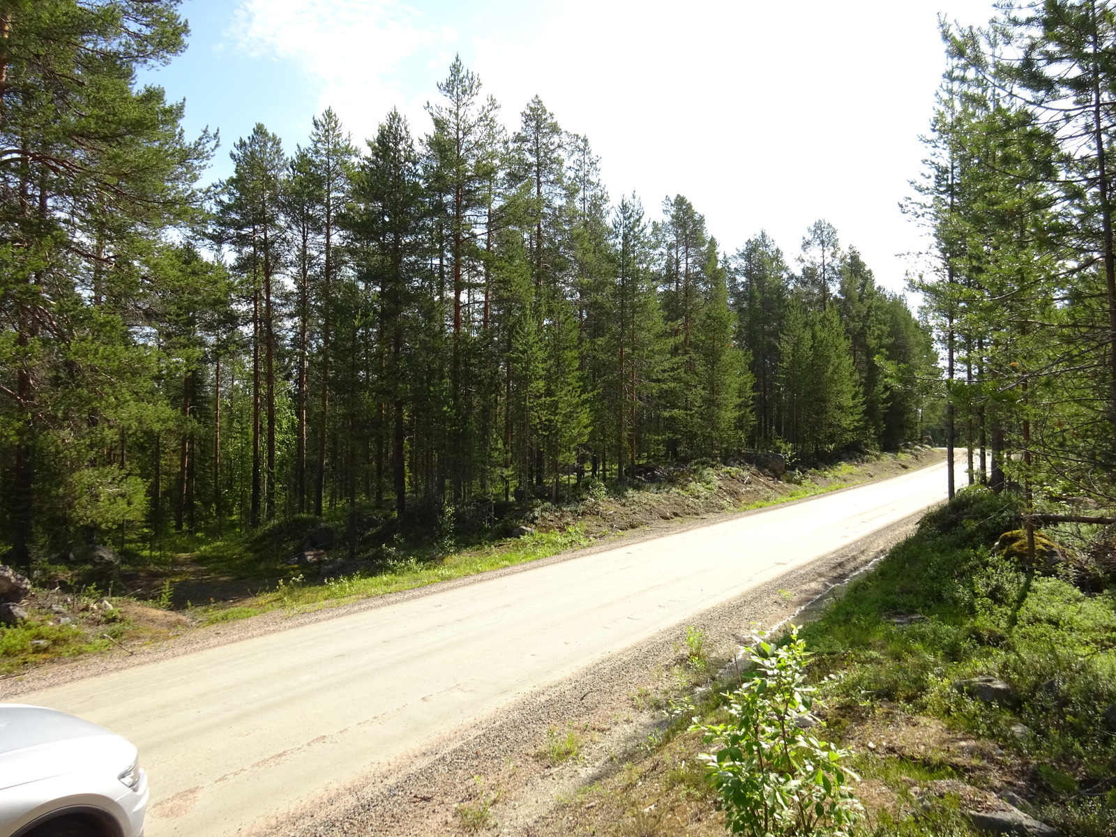 Hiekkatie kulkee kesäisessä mäntymetsässä. Alavasemmalla on auton keula.