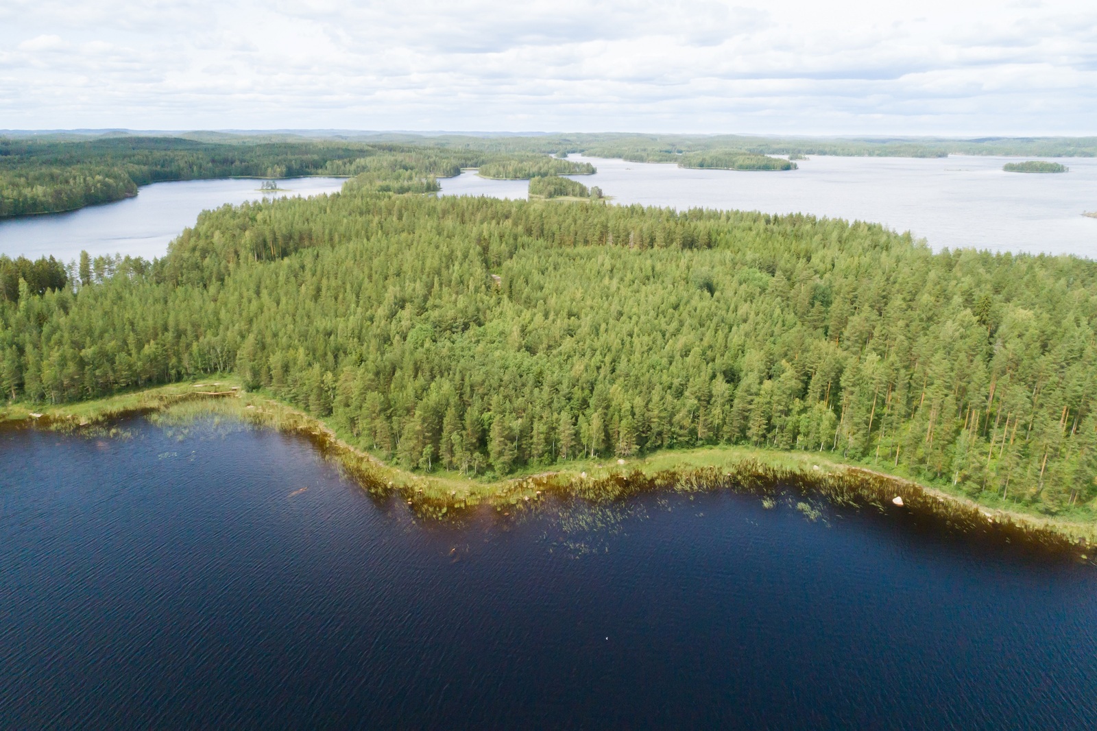 Kesämaisemassa kahden vesialueen keskellä on metsäinen kaistale. Ilmakuva.