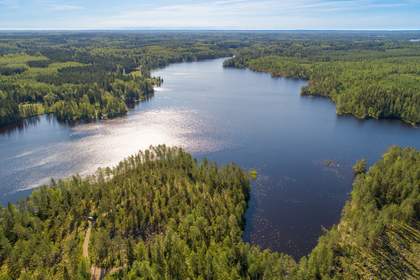 Kesämaisemassa järvi levittäytyy eri suuntiin metsien ympäröimänä. Ilmakuva.