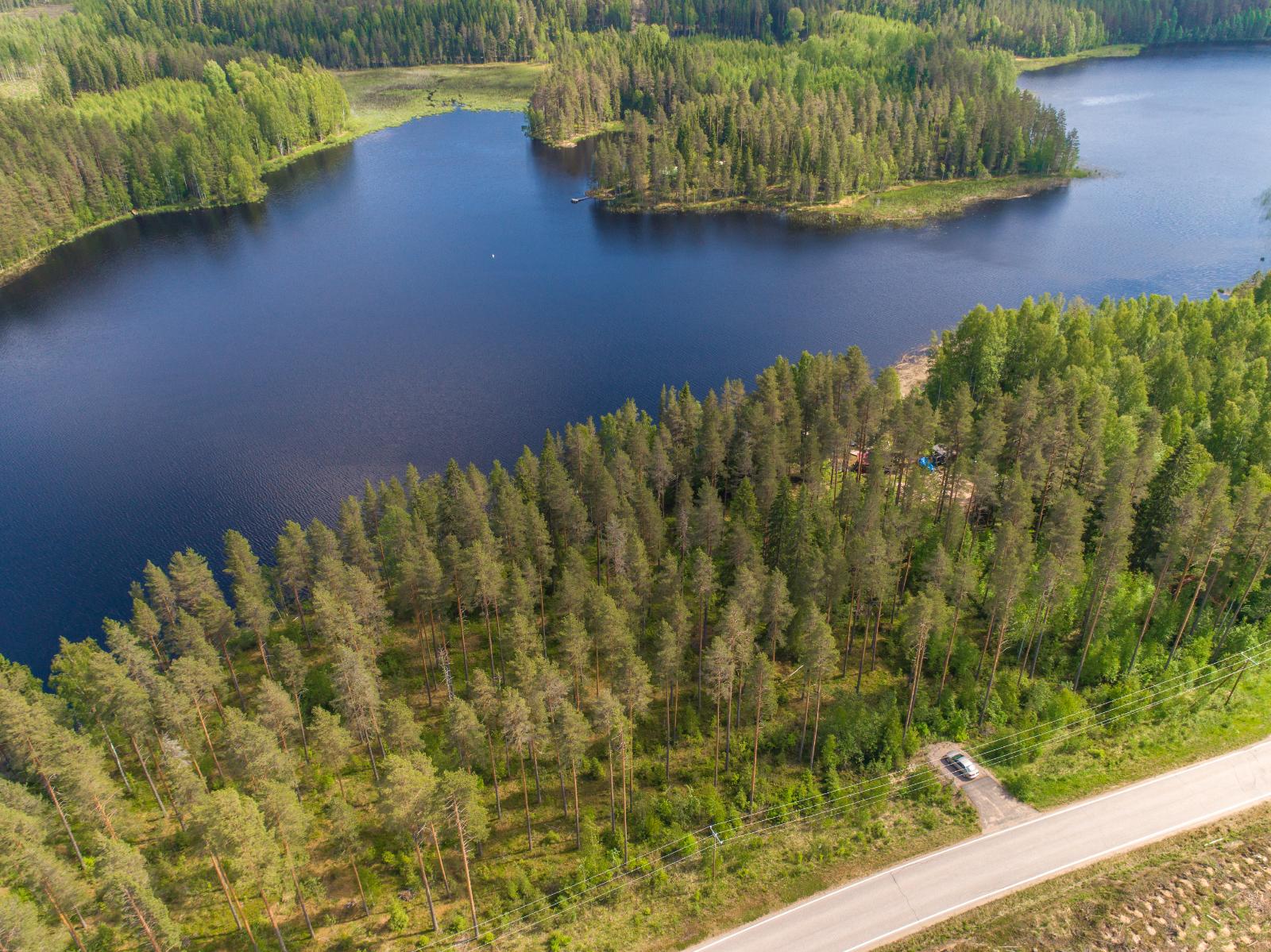 Kesäinen metsä reunustaa pitkulaista järveä molemmin puolin. Etualan metsässä kulkee tie. Ilmakuva.