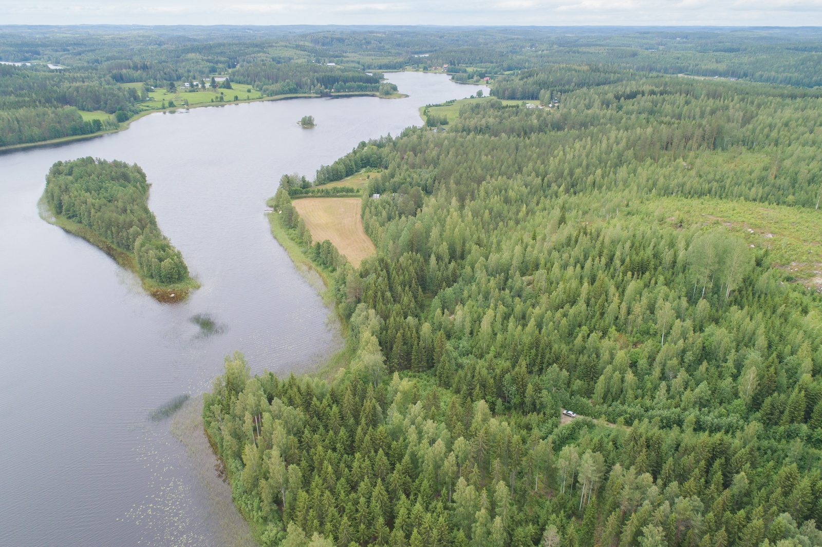 Metsät reunustavat mutkittelevaa järveä, jonka rannoilla on peltoja ja maatiloja. Ilmakuva.