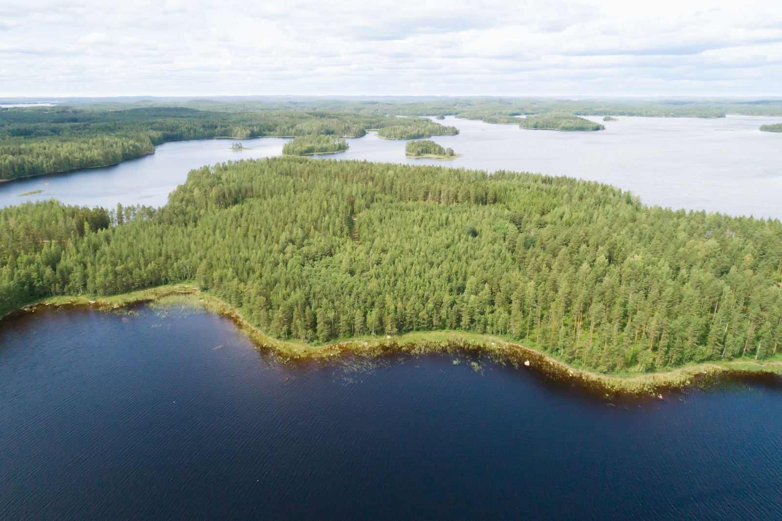 Laajojen vesialueiden keskellä on metsäinen kaistale. Ilmakuva.