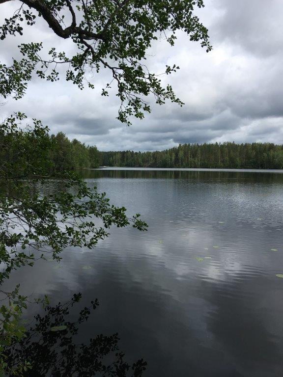Kesämaisemassa lehtipuiden oksat kaartuvat järven ylle ja pilvinen taivas heijastuu veden pintaan.
