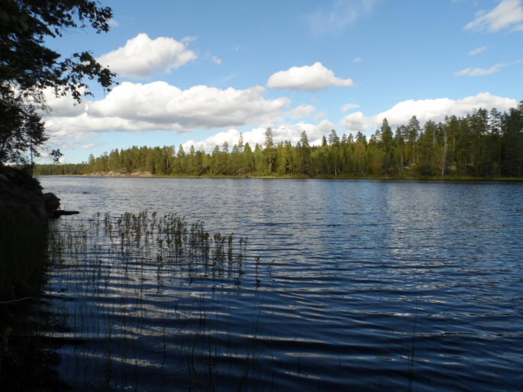 Kesäisessä järvimaisemassa puolipilvinen taivas heijastuu veteen. Rantavedessä on vesikasveja.