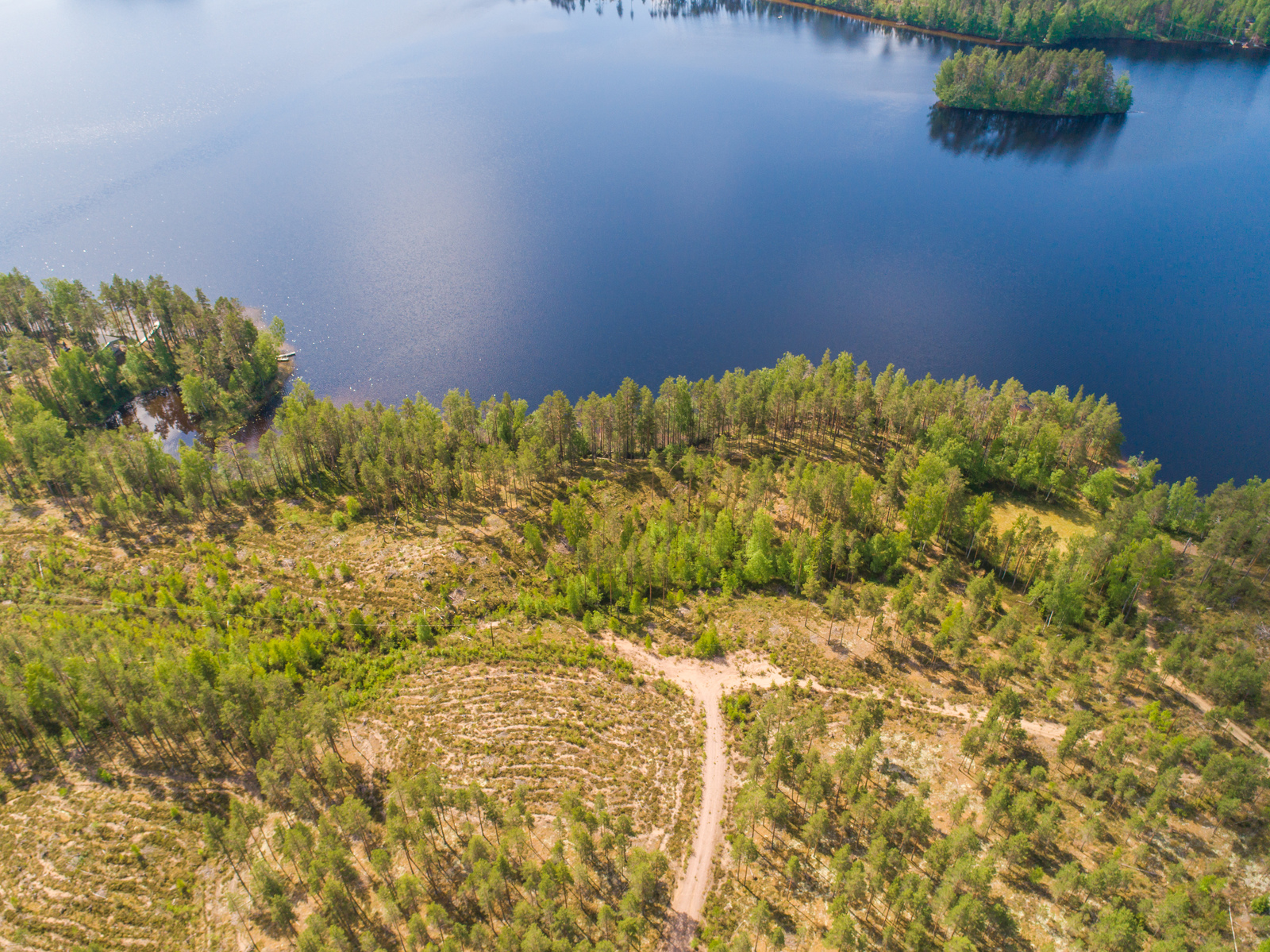 Tie haarautuu hakkuuaukealla ja kulkee kohti metsäistä järven rantaa. Ilmakuva.