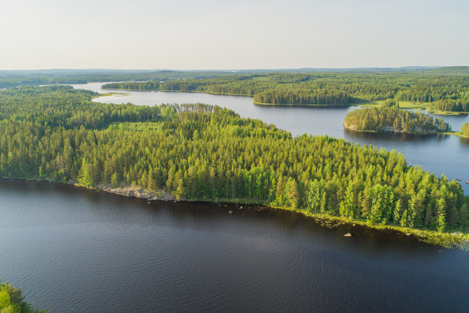 Laaja vesistö ympäröi metsäistä saarta. Rannoilla on kallioita. Ilmakuva.