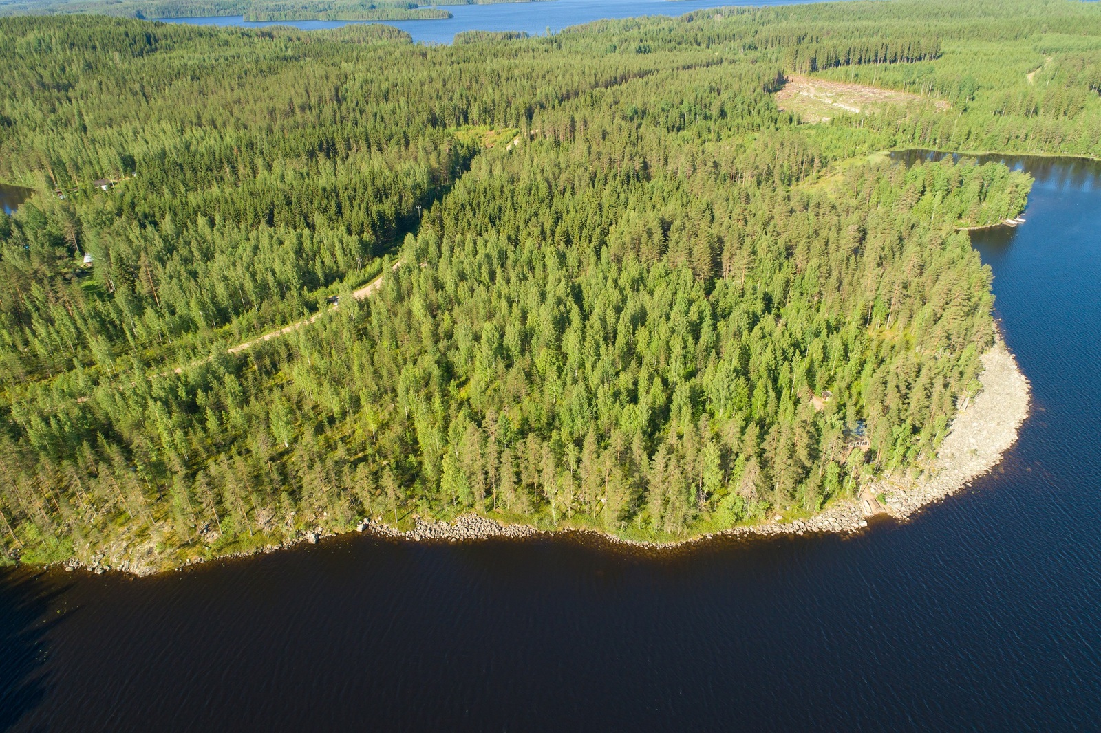 Laajat metsäalue reunustaa järveä. Metsässä kulkee tie ja horisontissa on lisää vesistöä. Ilmakuva.