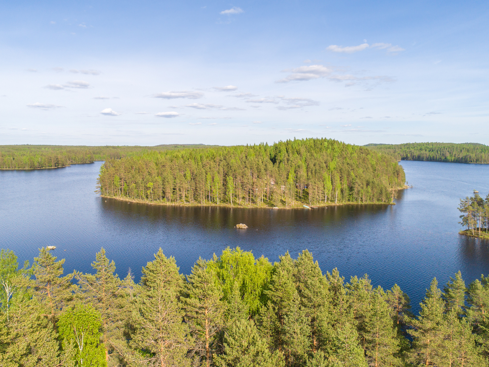 Kesämaisemassa metsät reunustavat suurta järveä, jossa on kaksi karikkoa. Ilmakuva.