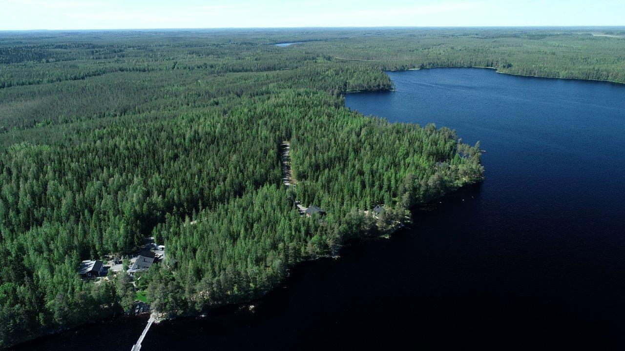 Kesämaisemassa järvi levittäytyy eri suuntiin metsien ympäröimänä. Rannalla on mökkejä. Ilmakuva.